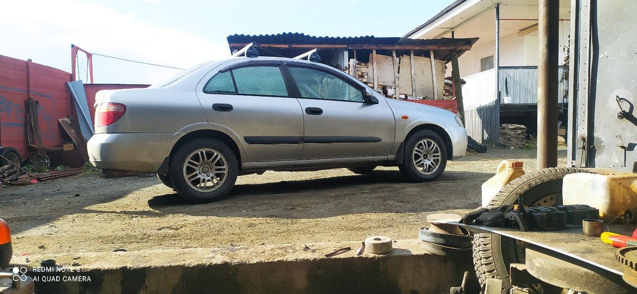 Nissan Almera: фото владельца