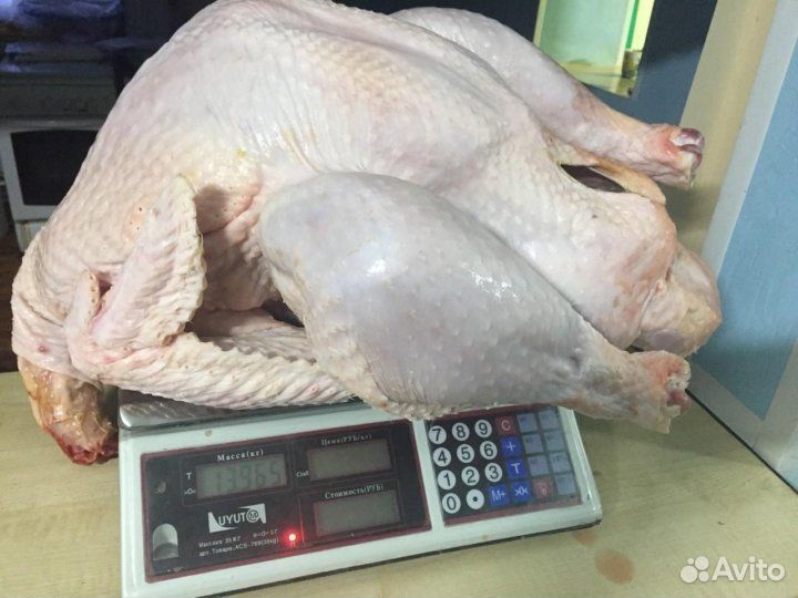 Мясо индейки