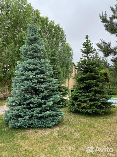 Крупномеры