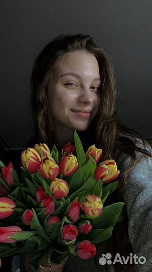 Администратор