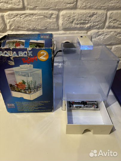 Мини аквариум для петушка