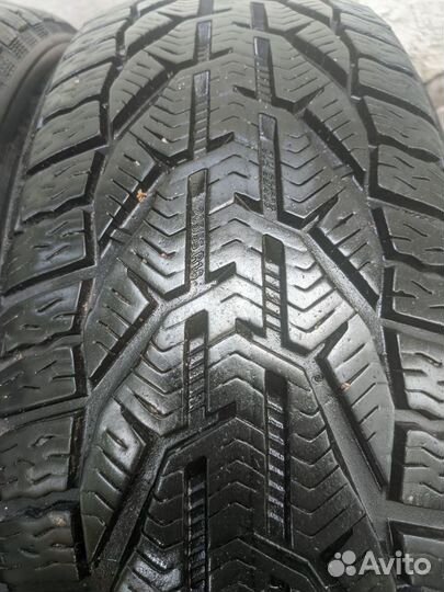 Tigar Winter 205/55 R16 94H