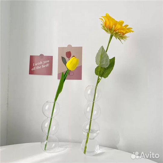 Ваза молекула