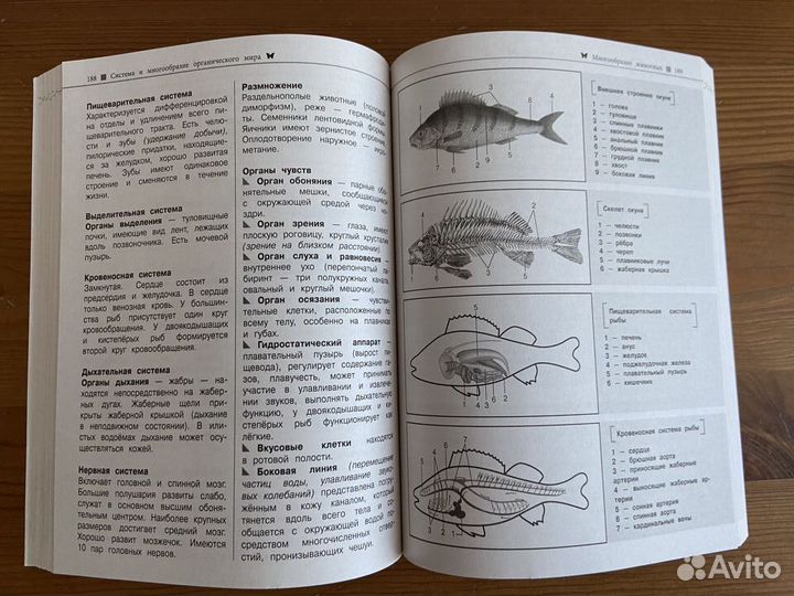 Биология ОГЭ ЕГЭ Комплект учебников