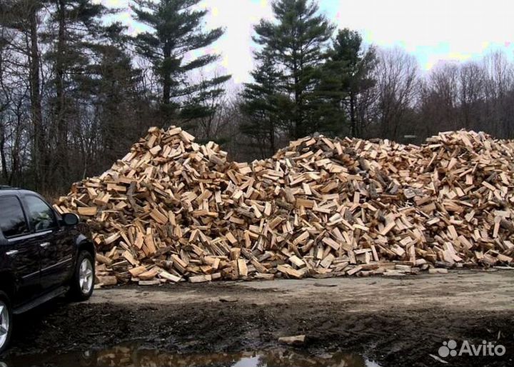 Дрова с Выборга