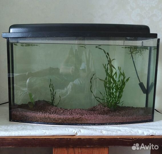 Аквариум телевизор 50л б/у не течет