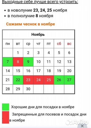 Растения для сада