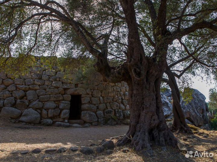 Темпио Паусания Топ-Экскурсия Исторические эпизоды