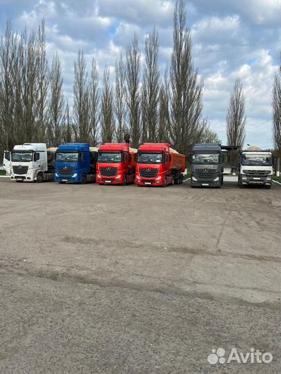 Вотидель категории CE