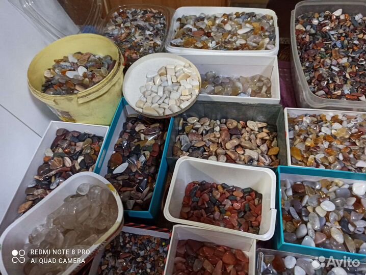 Крошка галтованная