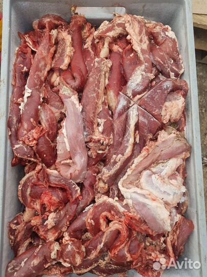 Мясо для животных