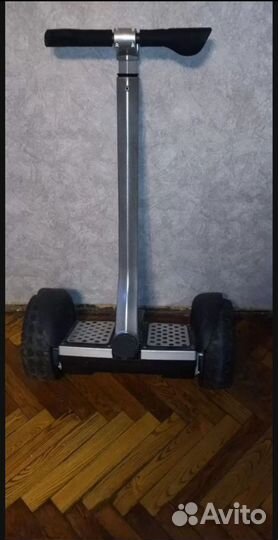 Segway Full river 36v