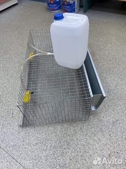 Клетки для перепелов, Перепела, ия, все в наличии