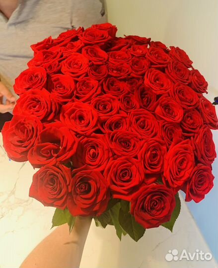 Розы красные. Розы белые. Букет роз. 101 роза