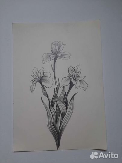 Картина графика