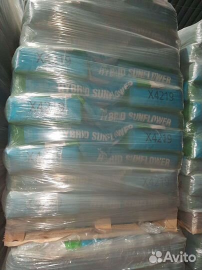 Семена подсолнечника nuseed