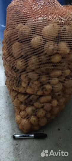 Картофель мелкий