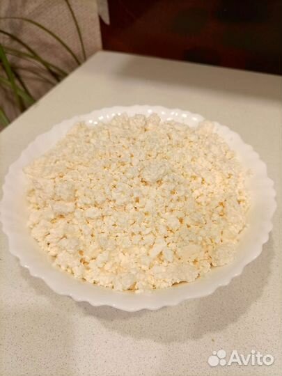 Молоко, сметана, творог, сливочное масло