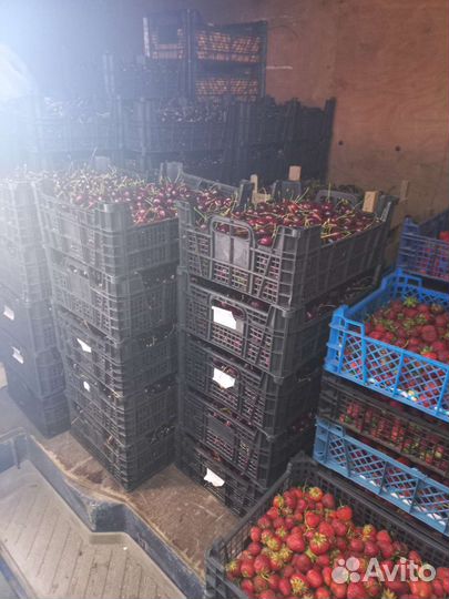 Грузоперевозки до 1.5 тонн