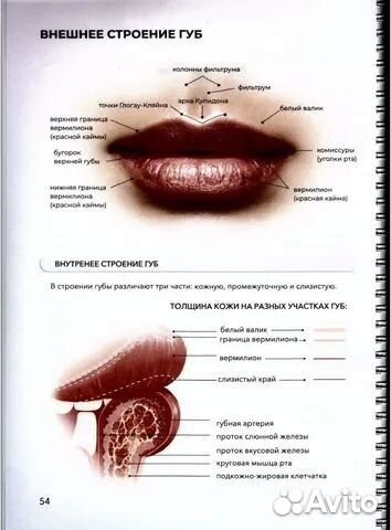 Методическое пособие по перманентному макияжу