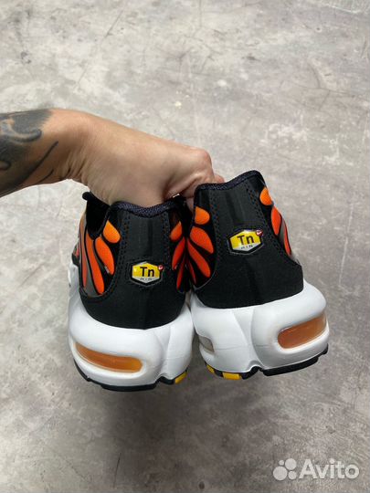 Nike Air Max Plus Black/Pimento-Bright Ceramic