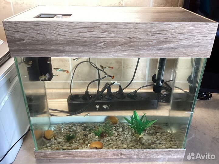 Аквариум