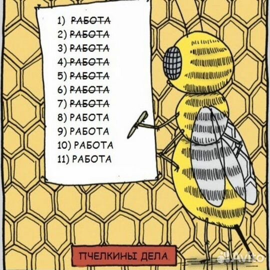 Пчела карпатка