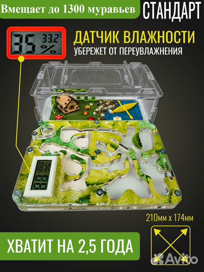 Муравьиная Ферма Стандарт с гигрометром