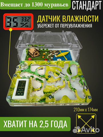 Муравьиная Ферма Стандарт с гигрометром