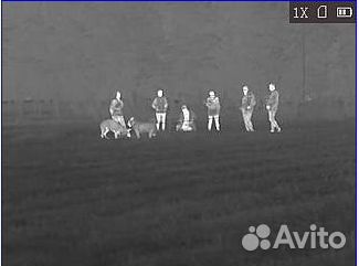 Тепловизор hikmicro lynx LC06 для охоты