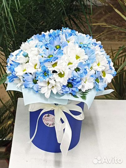 Живые цветы букеты