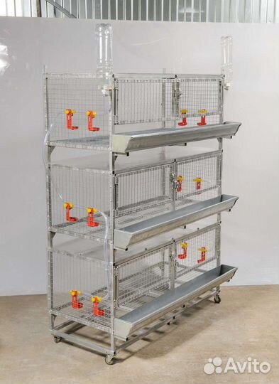 Клетки для кур