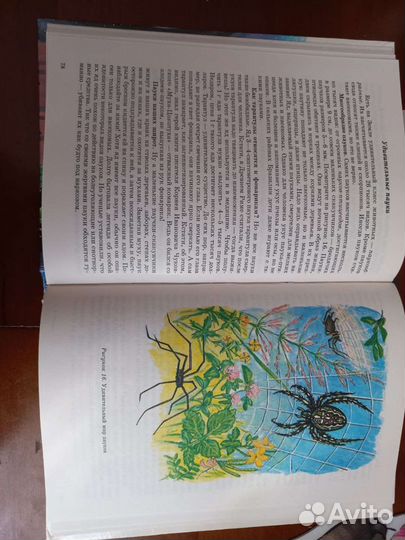 Экологический букварь