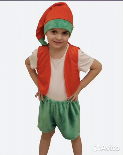 Костюм гнома в аренду или продажа