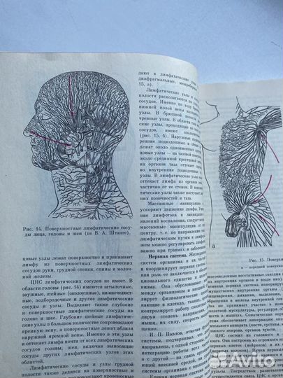 Справочник по массажу