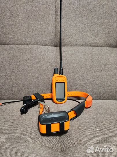 Навигатор Garmin Alpha 100 с ошейником