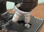 Микроскоп электронный Levenhuk
