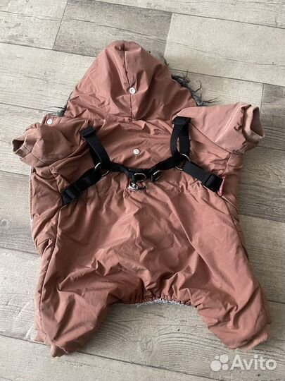 Комбинезон для собаки девочки