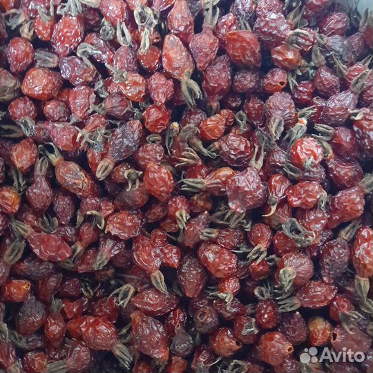 Шиповник, боярошник, сухофрукты