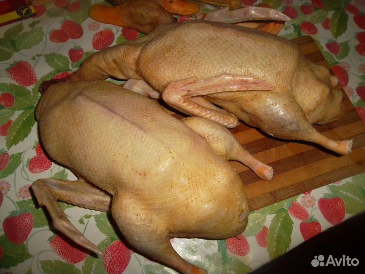 Тушка утки индейки деревенские