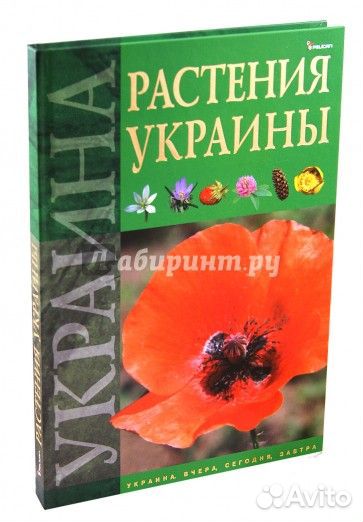 Книги новые