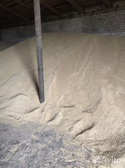 Зерно пшеница ячмень 700 т