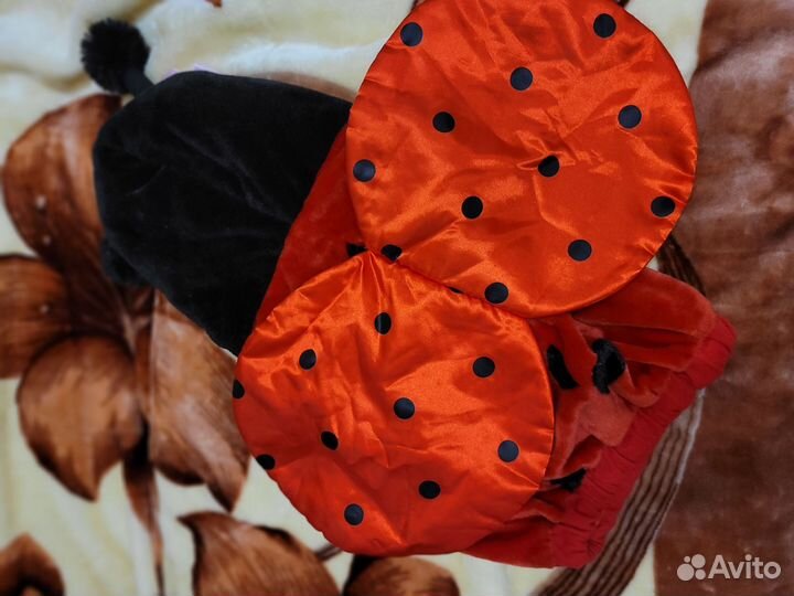 Божья коровка