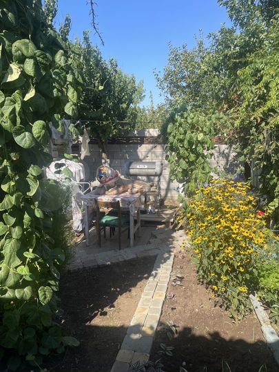 Дом 35 м² на участке 22 сот.