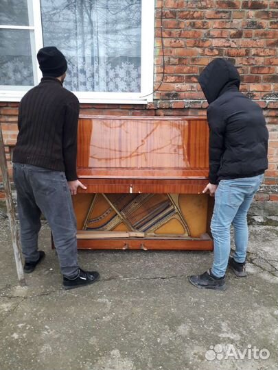 Грузоперевозки грузчики Кан