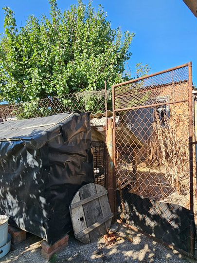 Дом 93,4 м² на участке 16,3 сот.