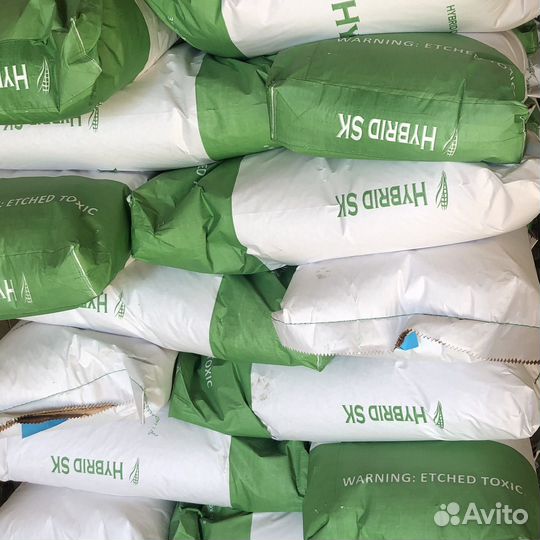 Семена кукурузы краснодарская