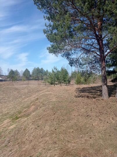 Участок 61 сот. (ИЖС)