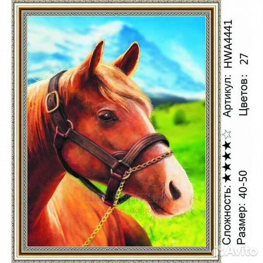 Алмазная мозаика 40x50 Лошадка на фоне гор