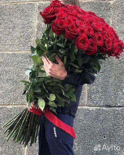 Высокие розы